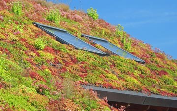 Ousel Hole living roof systems